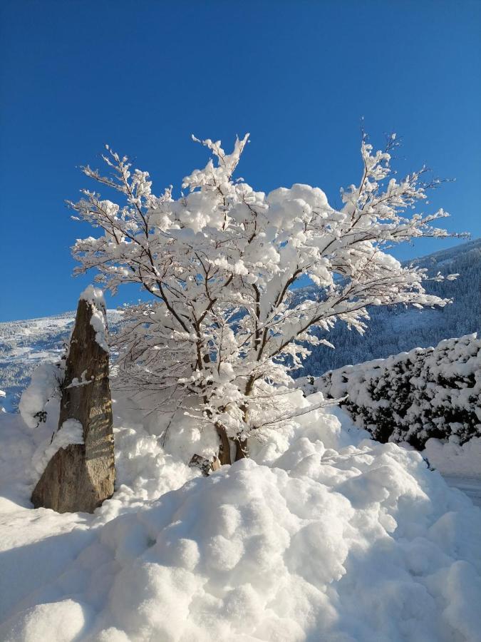 Apart Dahuam Aschau Im Zillertal 외부 사진